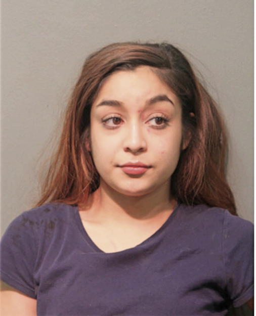 CINDI M REYES, Cook County, Illinois