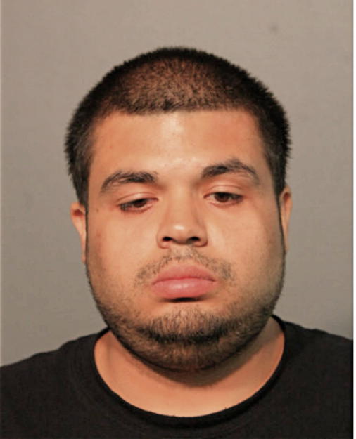 GEORGE A RIVERA, Cook County, Illinois