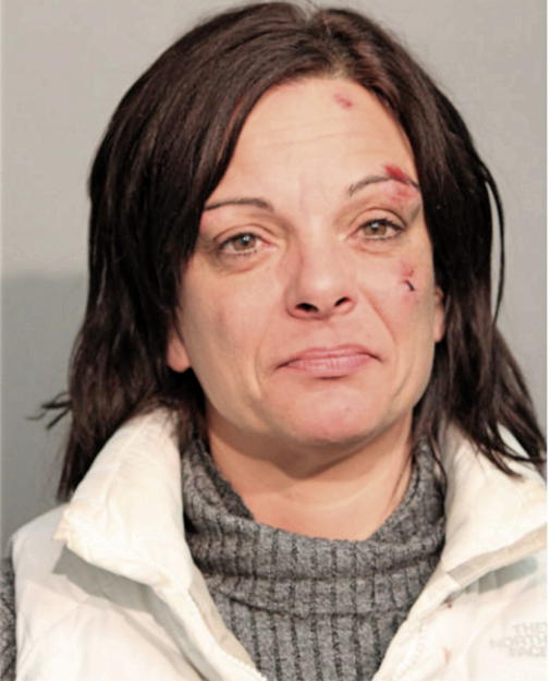 KARYN L STYCK, Cook County, Illinois