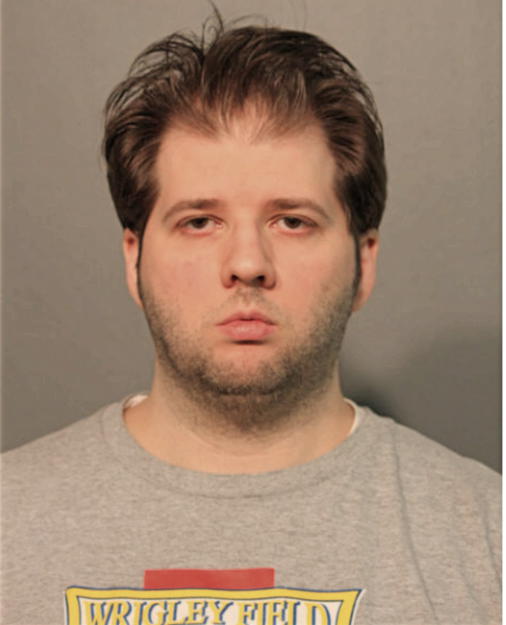 BRANDON M THEODORE, Cook County, Illinois