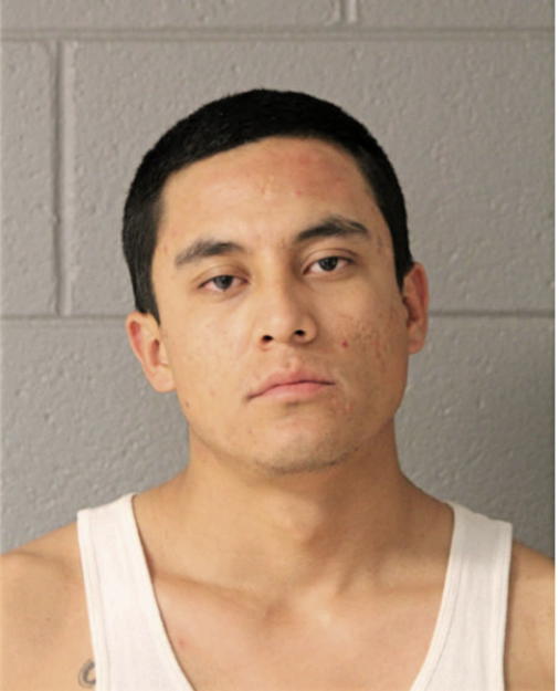 NESTOR A ALMANZA, Cook County, Illinois
