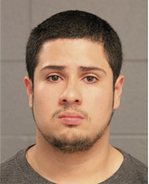 MIGUEL E ANDINO, Cook County, Illinois