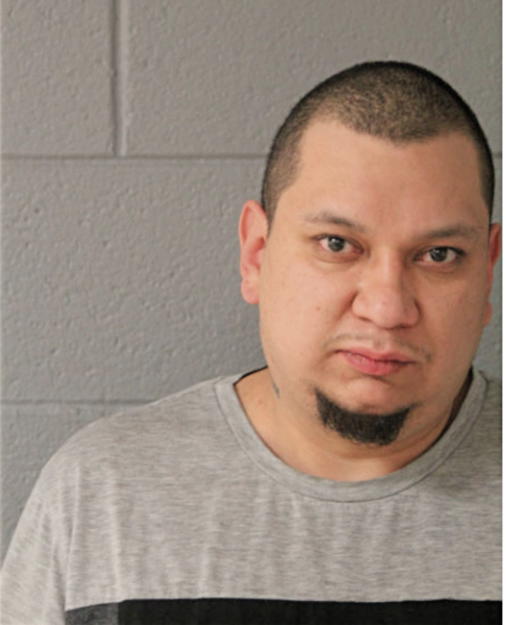LUIS E AVALOS, Cook County, Illinois