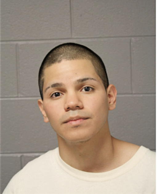 VICENTE AVILA, Cook County, Illinois