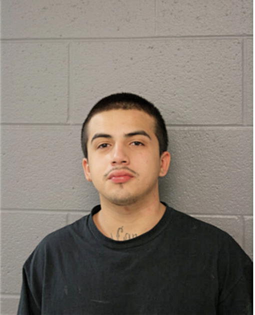 ROSELIO J BENITEZ, Cook County, Illinois