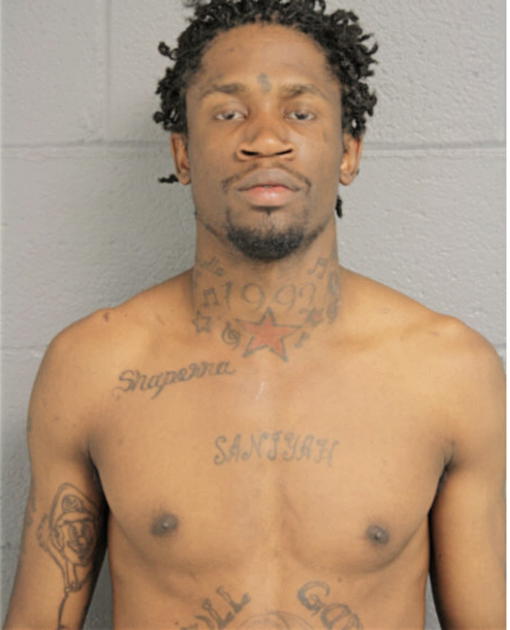 STANLEY J BRYANT, Cook County, Illinois