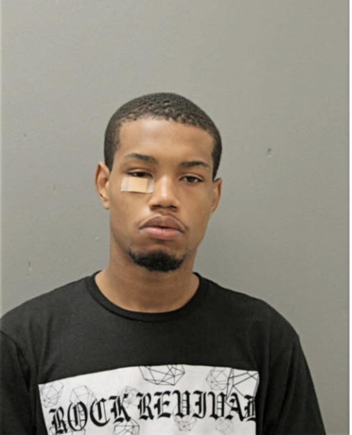 STERLING J BURGIN, Cook County, Illinois