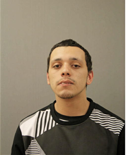 MICHAEL L CARABALLO, Cook County, Illinois