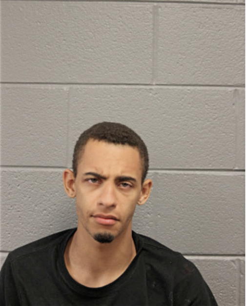 FABIAN S DAWKINS, Cook County, Illinois