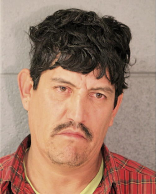 LUIS DELGADO, Cook County, Illinois
