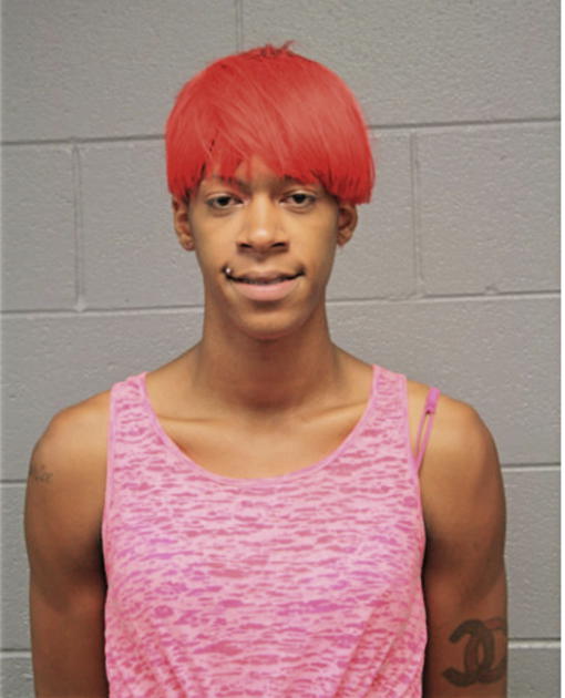 KENNETH L FLOYD, Cook County, Illinois