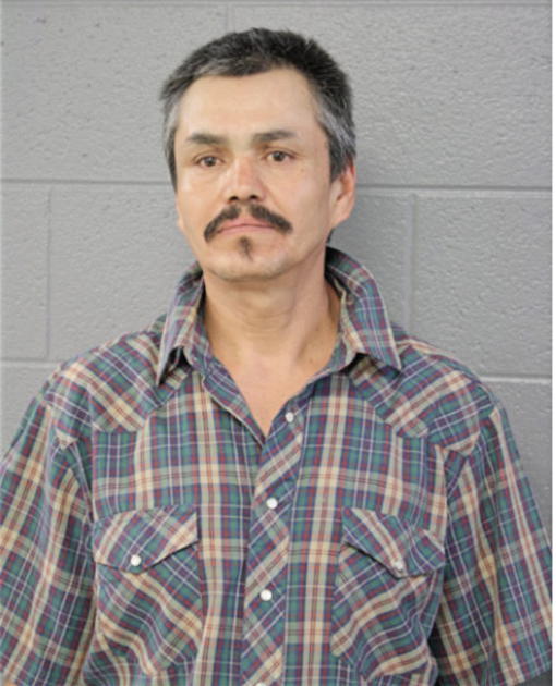 JOSE A FONSECA, Cook County, Illinois