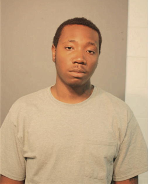 VLADIMIR J GEORGES, Cook County, Illinois