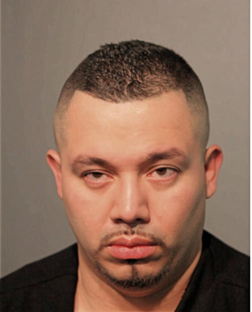 ENRIQUE E GONZALEZ, Cook County, Illinois