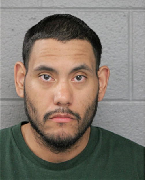 WILLIAM GONZALEZ, Cook County, Illinois