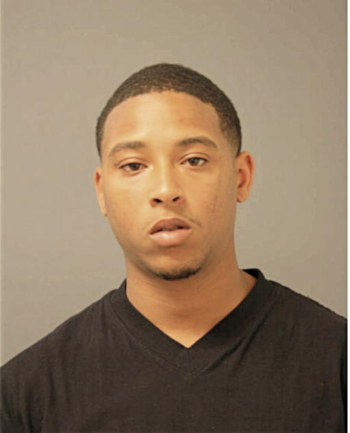 MITCHELL S JENKINS, Cook County, Illinois