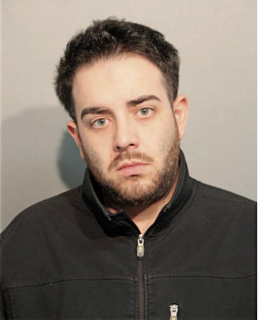 JOSEPH C NASEEF, Cook County, Illinois