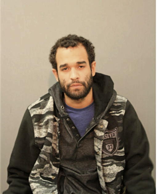PEDRO J RODRIGUEZ, Cook County, Illinois