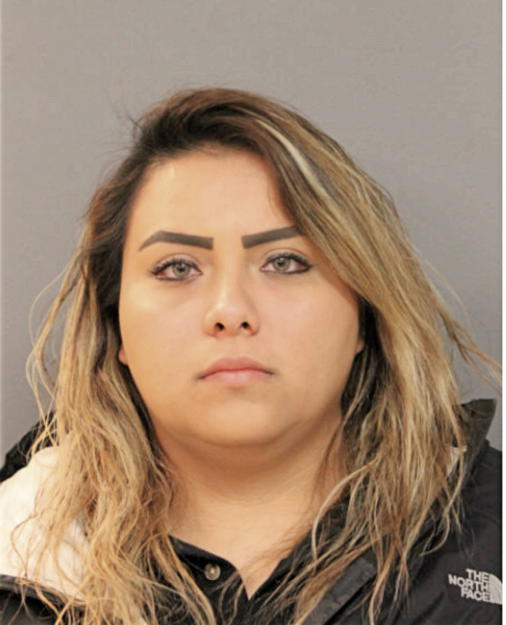 YARITZA SANCHEZ, Cook County, Illinois