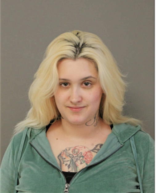 LESLIE J SINCLAIR, Cook County, Illinois