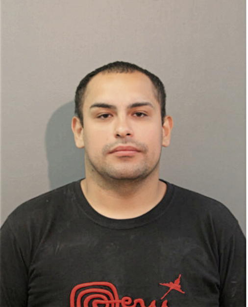 MICHAEL J TONNON, Cook County, Illinois