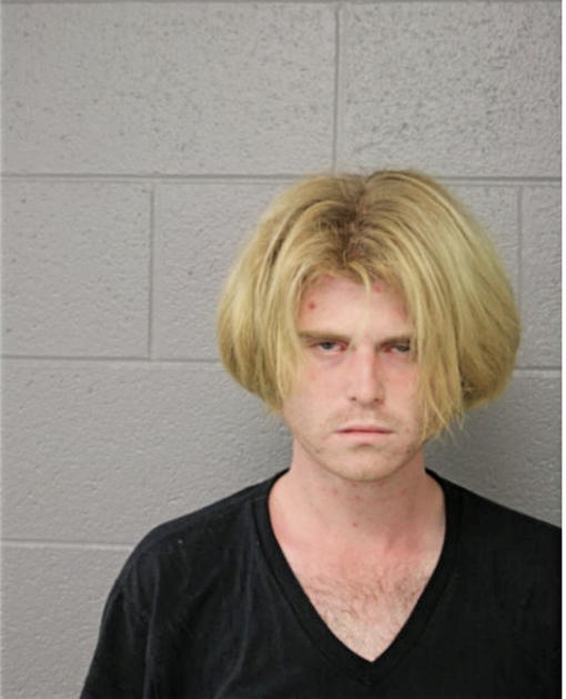 KYLE C WALLACE, Cook County, Illinois