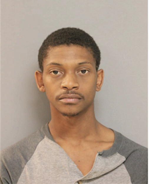 BRYANT ADAMS, Cook County, Illinois