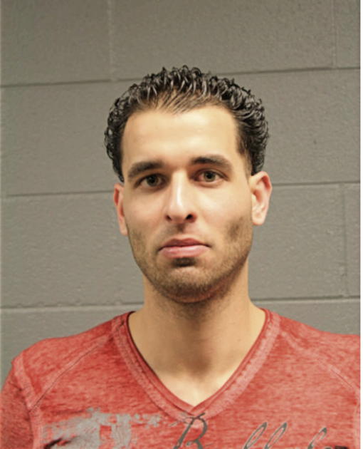 AHMAD R AHMAD, Cook County, Illinois