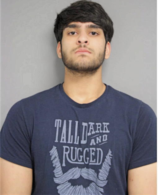 SYED AHMED, Cook County, Illinois