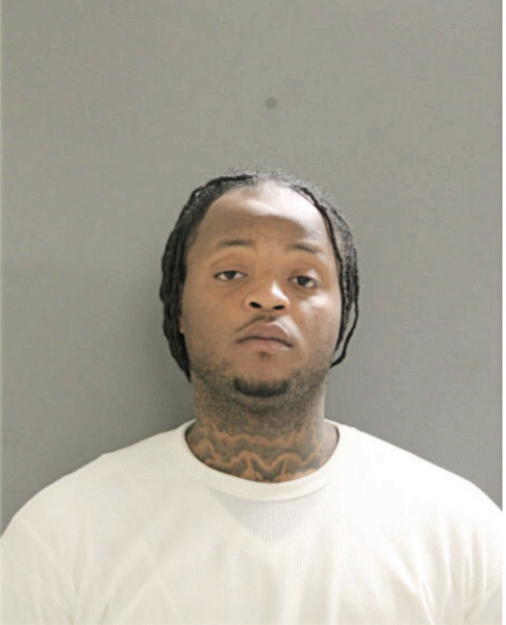 JAVIER L ANDERSON, Cook County, Illinois