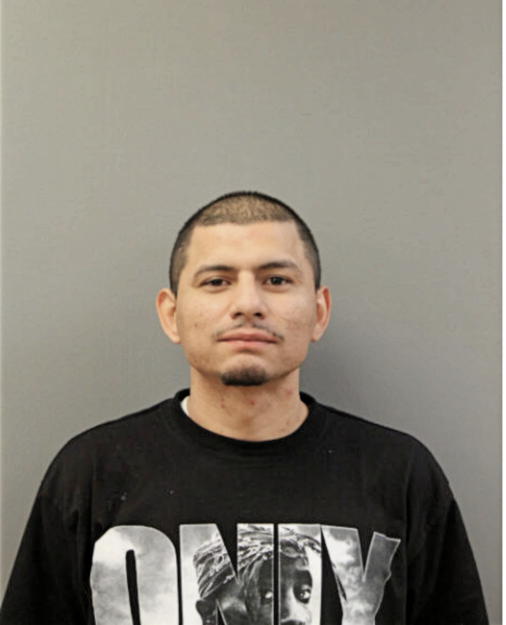 RODOLFO AVILA, Cook County, Illinois