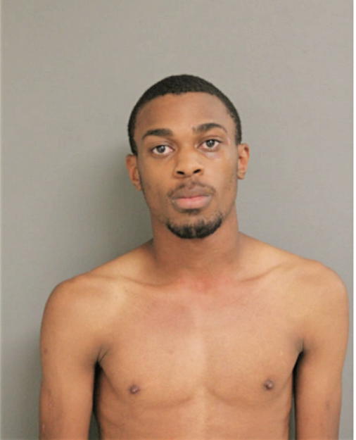 AARON J BROWN, Cook County, Illinois