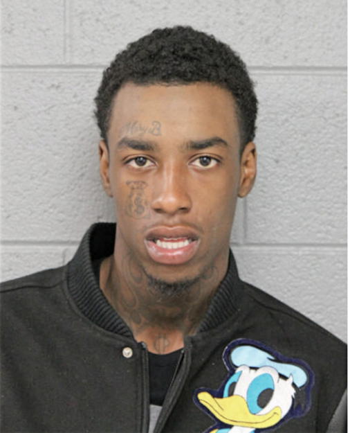 BRANDON BROWN, Cook County, Illinois