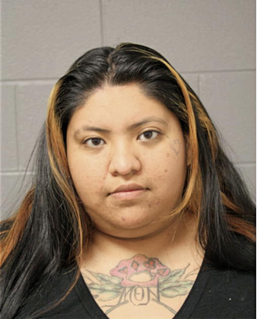 NOEMI E CERVANTES, Cook County, Illinois