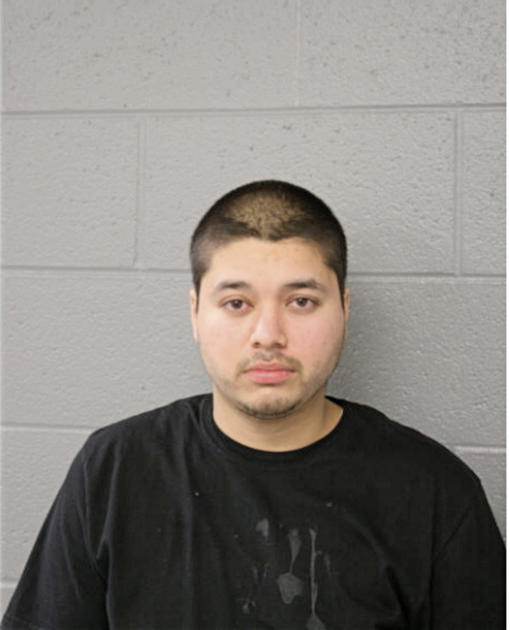 SAUL CORTES, Cook County, Illinois