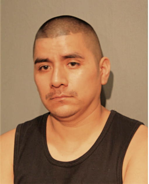 VALENTIN DAMIAN-ROMAN, Cook County, Illinois