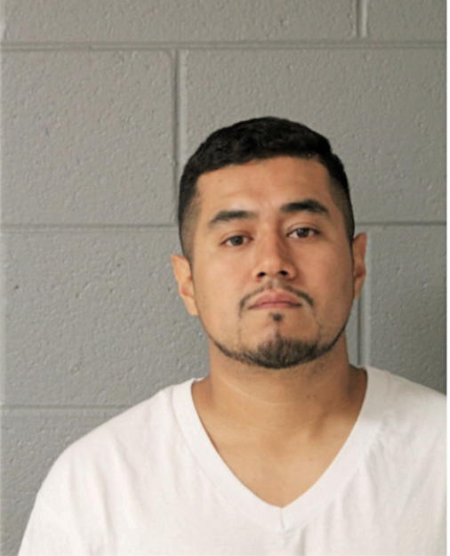 HECTOR GOMEZ DE LA CASA, Cook County, Illinois