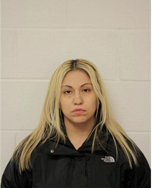 NANCY FLORES, Cook County, Illinois