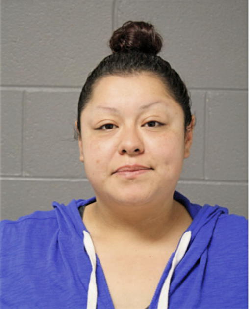 VANESSA A FLORES, Cook County, Illinois