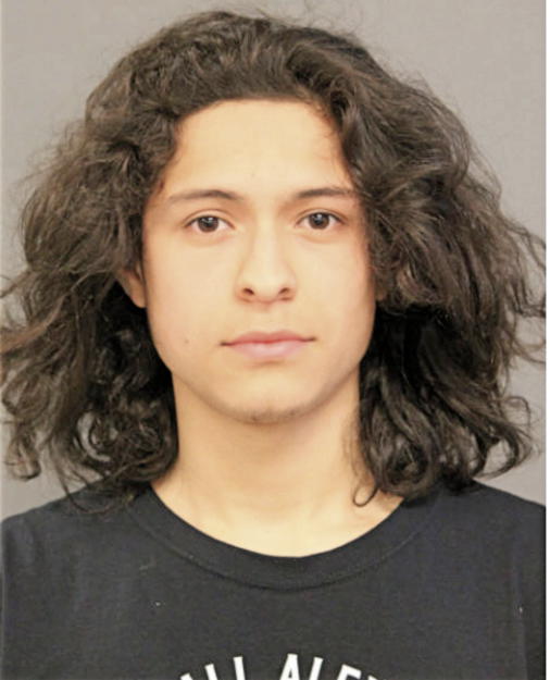 JONATHAN FRAGOSO, Cook County, Illinois