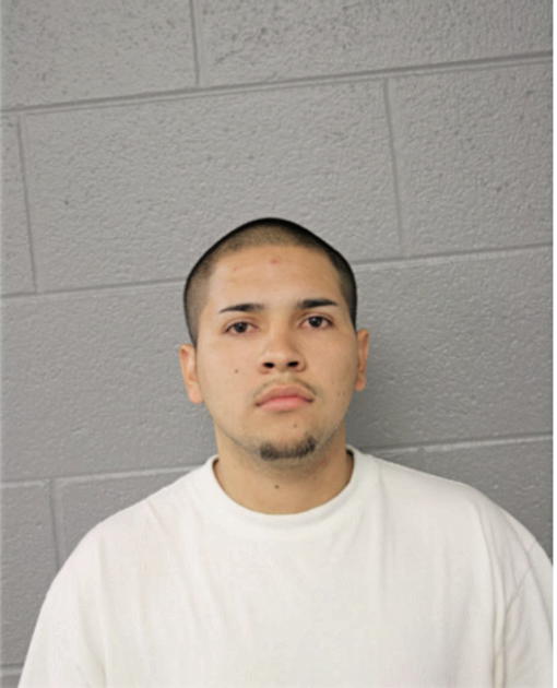 HECTOR GARCIA, Cook County, Illinois