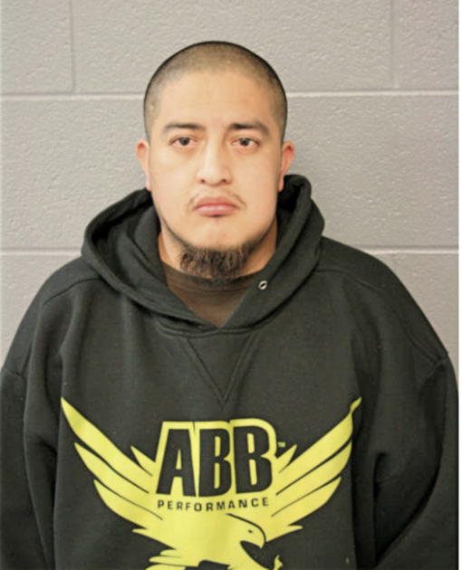 LUIS HERNANDEZ GARCIA, Cook County, Illinois