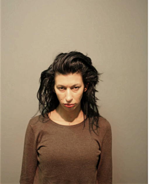 MELISSA A GLANVILLE, Cook County, Illinois