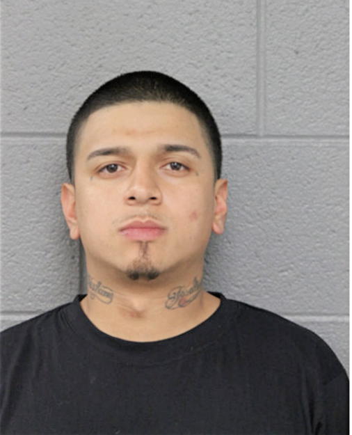 FAUSTO GONZALEZ, Cook County, Illinois