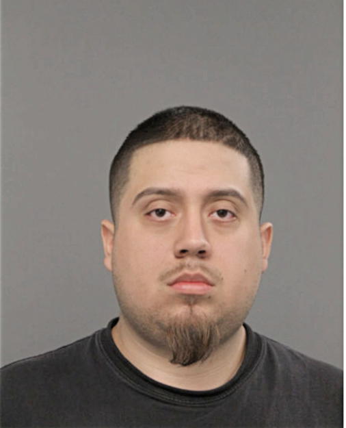 FRANK G GUZMAN, Cook County, Illinois