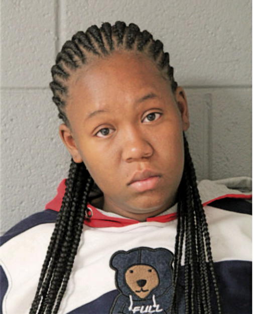ARIEL S JOHNSON, Cook County, Illinois