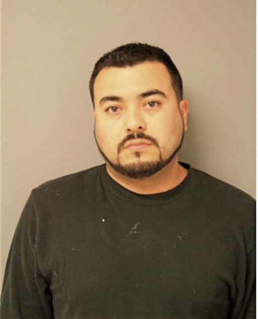 ALBERTO MARTINEZ, Cook County, Illinois