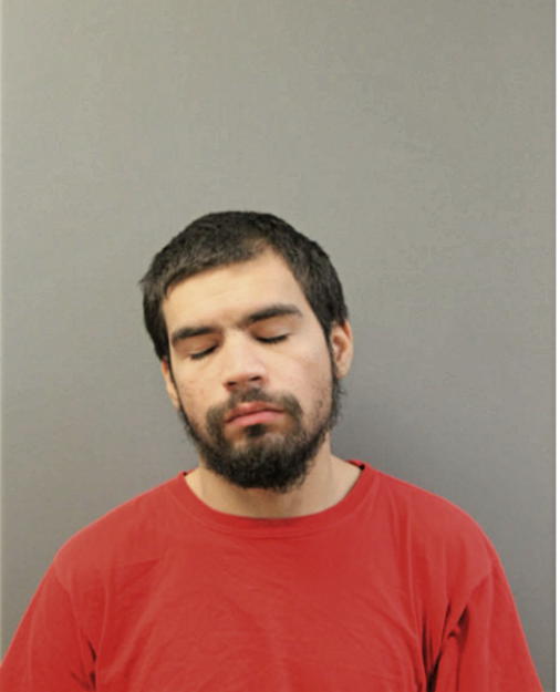 DANIEL A MOLINA, Cook County, Illinois