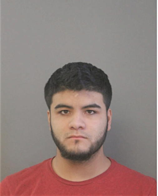 RICARDO E ORTIZ, Cook County, Illinois