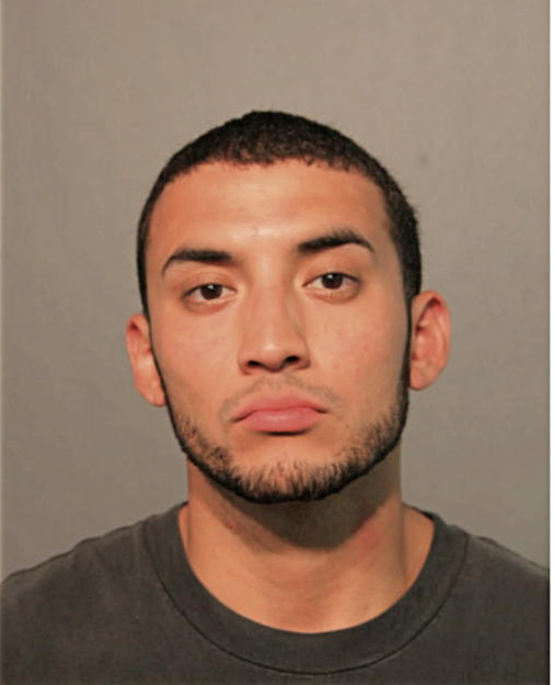 DAVID A RAMIREZ, Cook County, Illinois